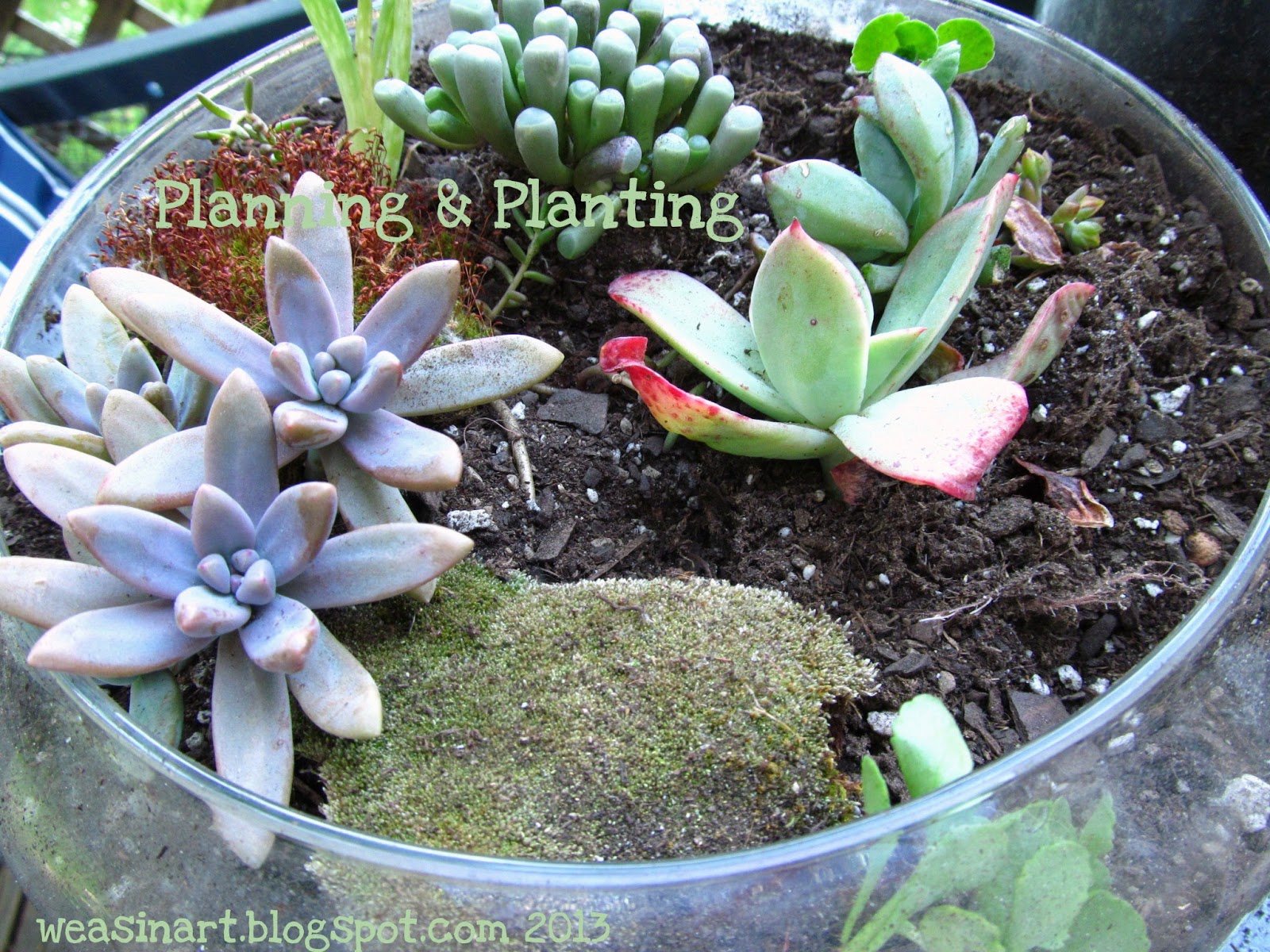 weasinart Sunday Funday DIY Terrariums & Rock Gardens