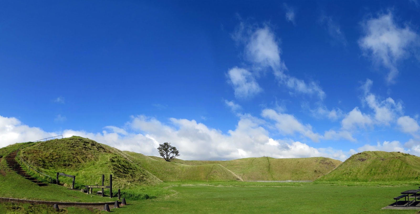 sconzani Auckland walks Maungarei Mt Wellington