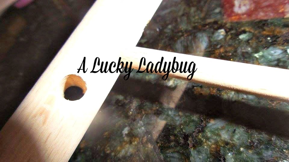 A Lucky Ladybug Bellemain Large Wood Drying Rack for Pasta Review