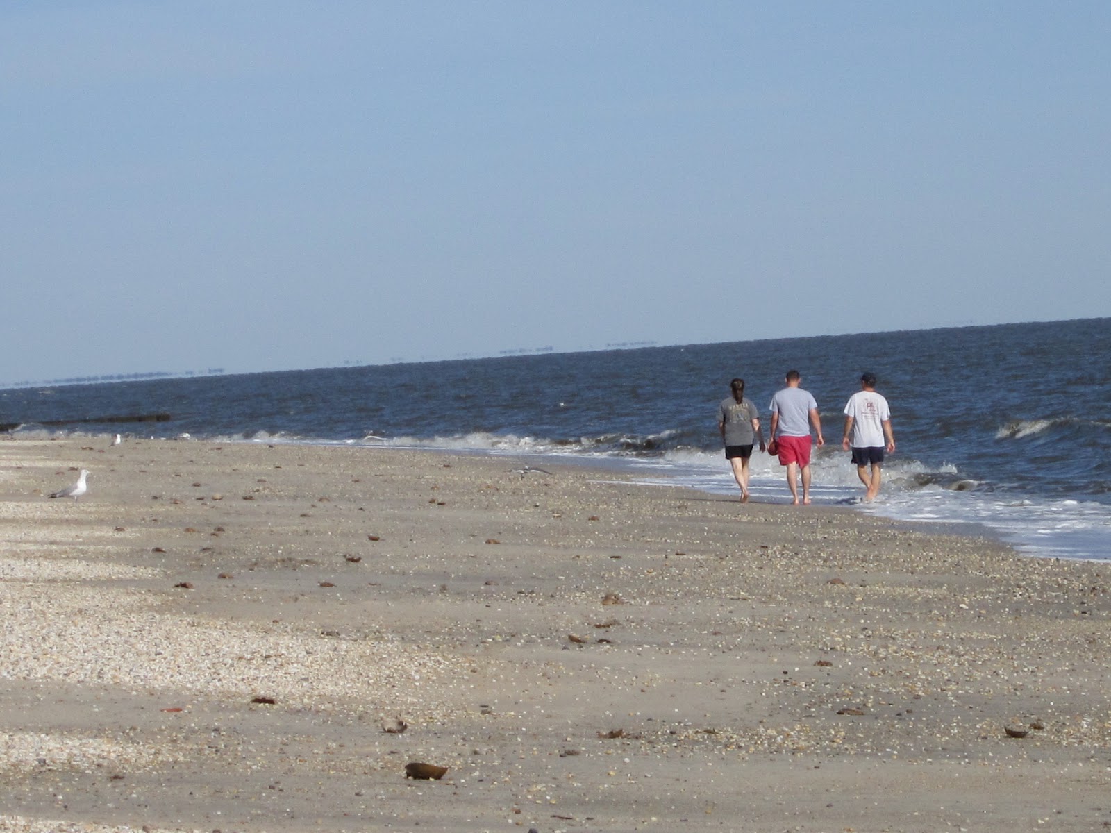On The Pond Farm Broadkill Beach, Milton, Delaware
