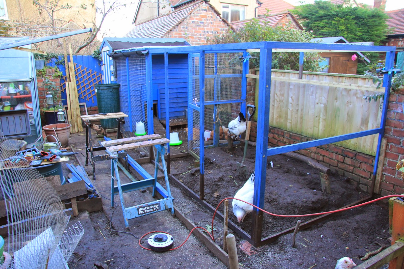 Allotment 65 Chicken run extension