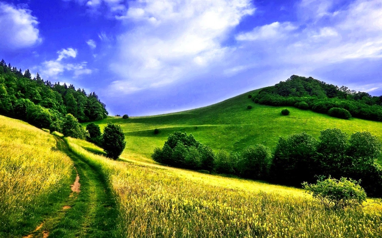 All About Science Pemantulan Cahaya Pada Cermin