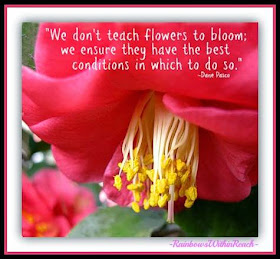 "We don't teach flowers to bloom" #TeacherQuote EOY Celebration