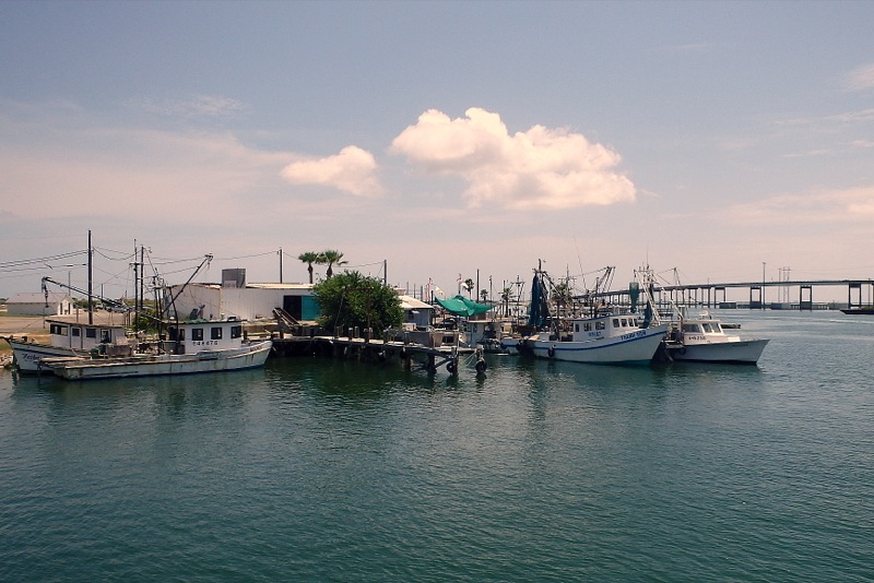 Life in the Slow Lane (The Pearl) Aug. 12 Aransas Bay, TX