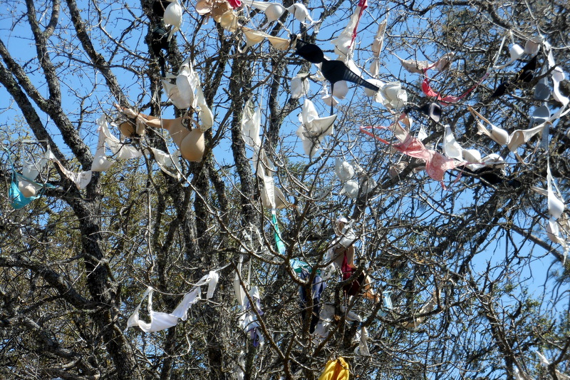Road Trip Ramble Pinnacles and Valleys