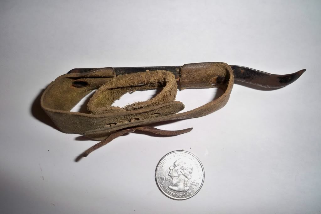 Agrarian Nation Growing & HarvestingCorn By Hand