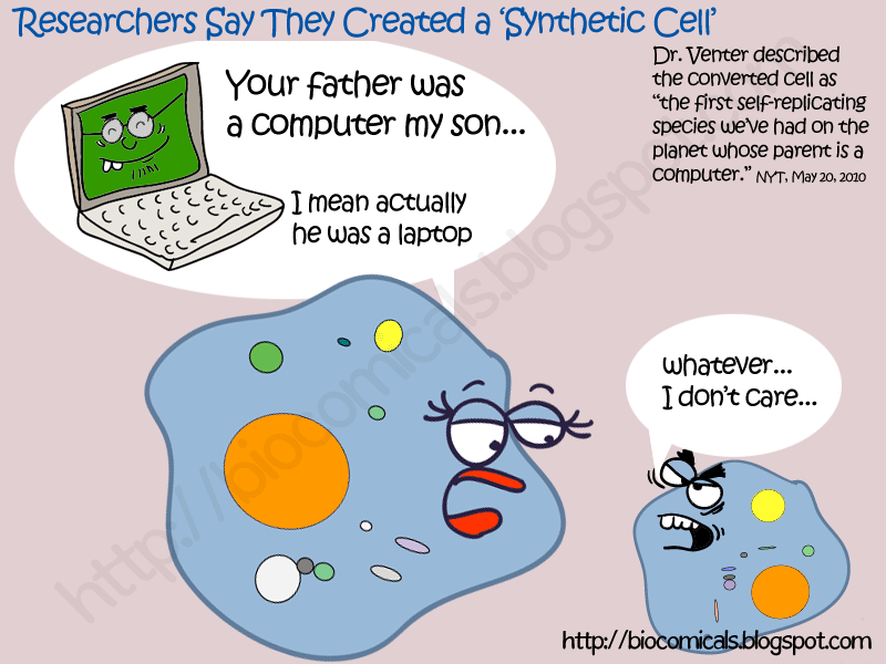 Cell Biology Comic