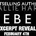  Excerpt Reveal : Rebel (Dead Man’s Ink) by Callie Hart 