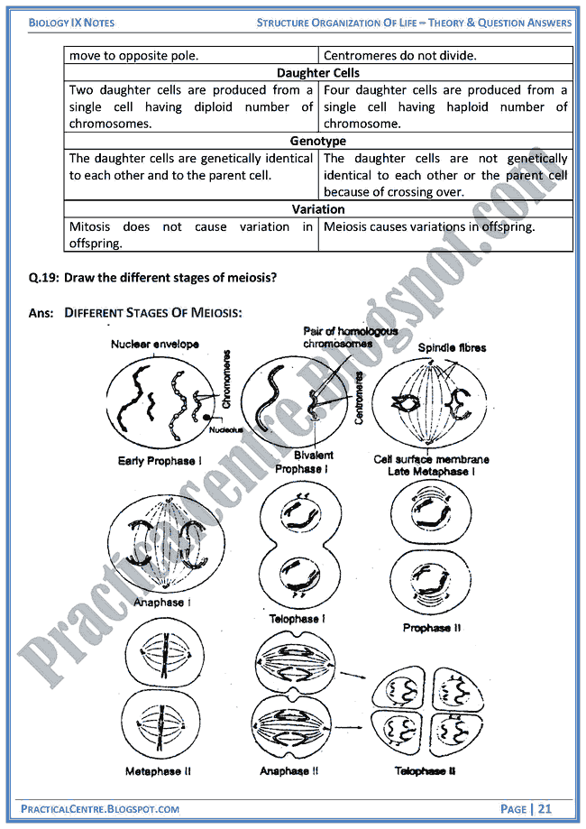 structural-organization-of-life-theory-and-question-answers-biology-ix