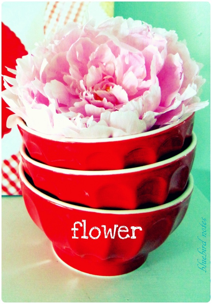 Bluebird Notes starting with flour.........ending with a flower