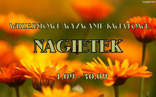 wrzesień-nagietek