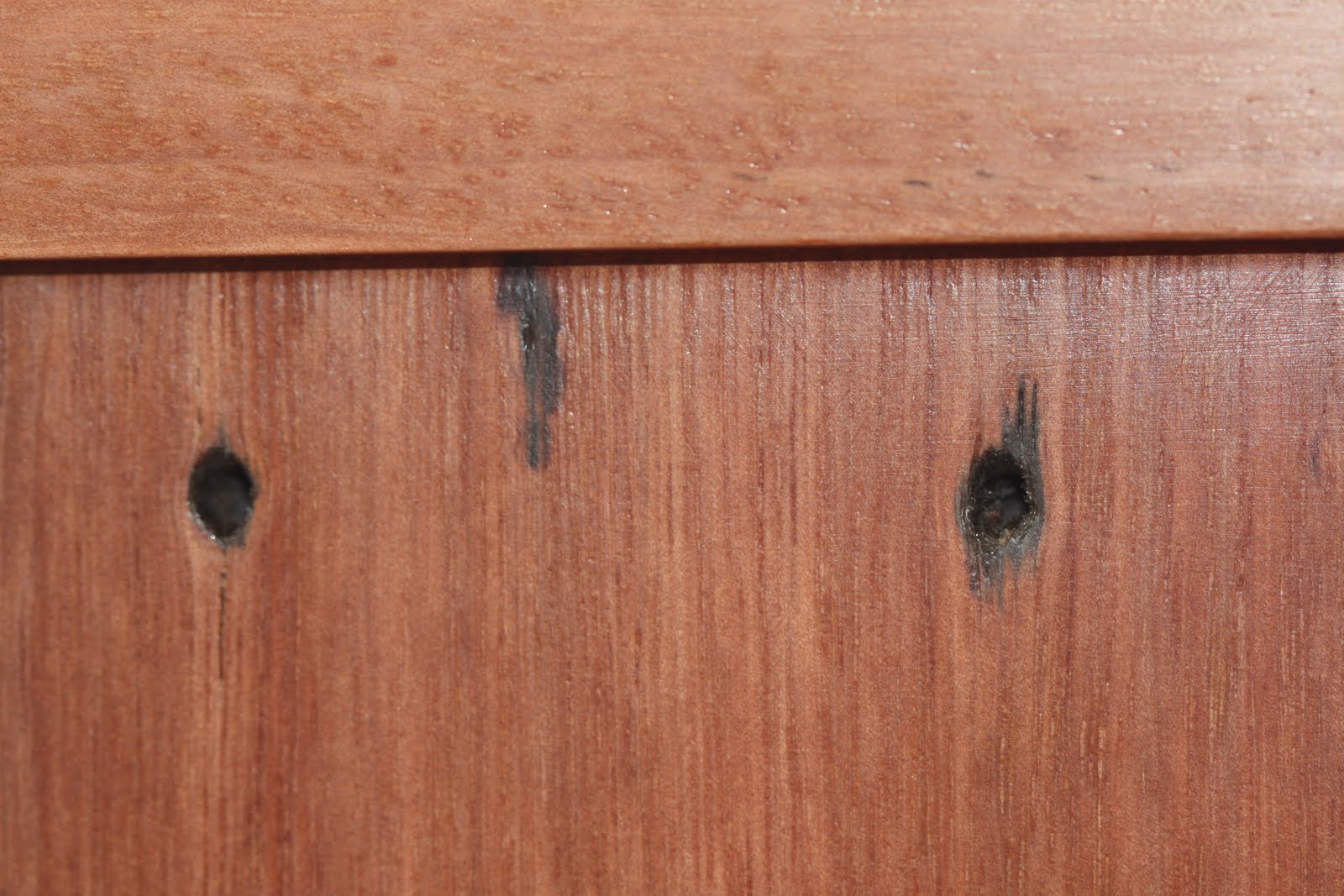 Chookie's Back Yard Details from my Kitchen