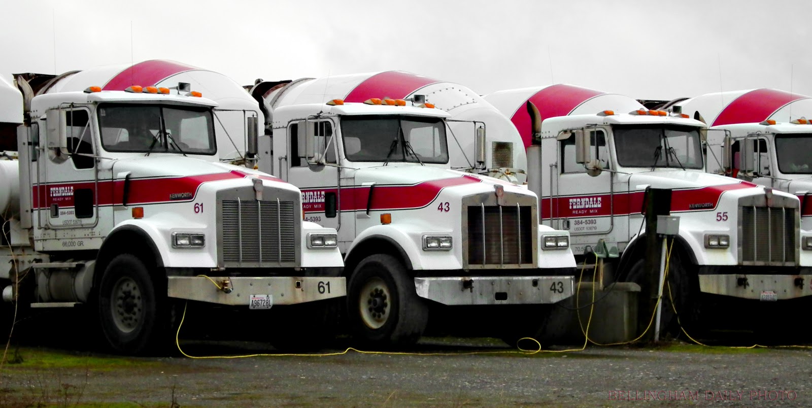 BELLINGHAM DAILY PHOTO January 2012