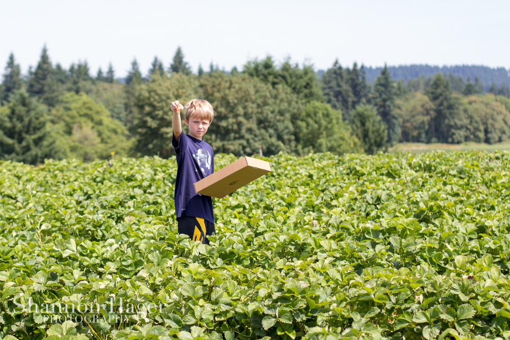 Enjoying Life With 4 Kids Portland June 2013 Strawberry Picking
