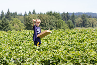 Shannon Hager Photography, Portland Oregon, Strawberry Fields