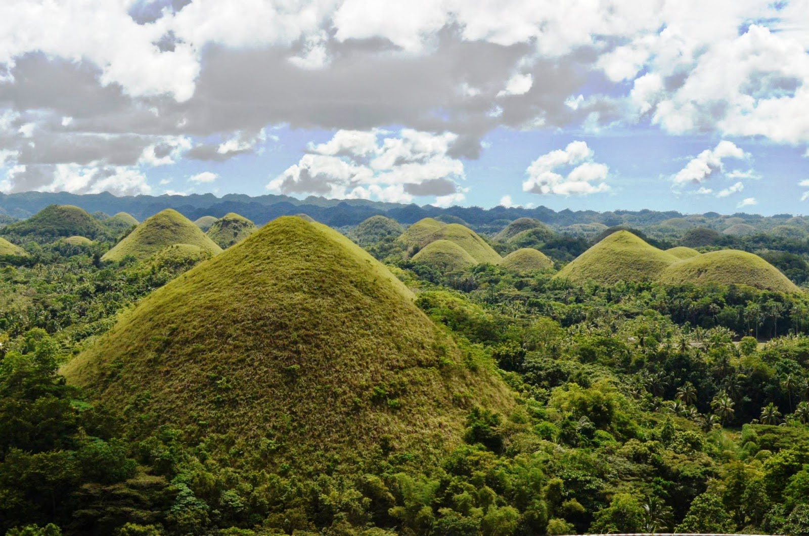 The 1,776 Chocolate Hills of Bohol