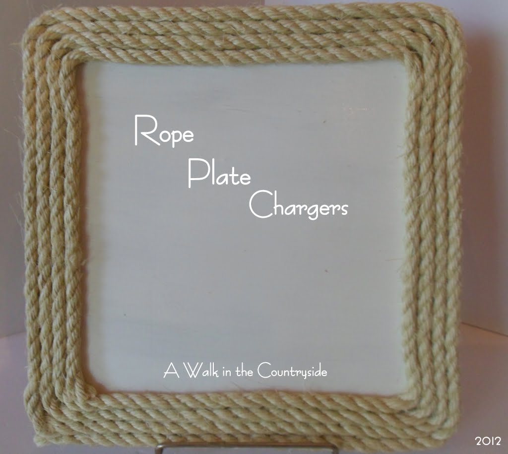 A Walk in the Countryside DIY Rope Plate Chargers