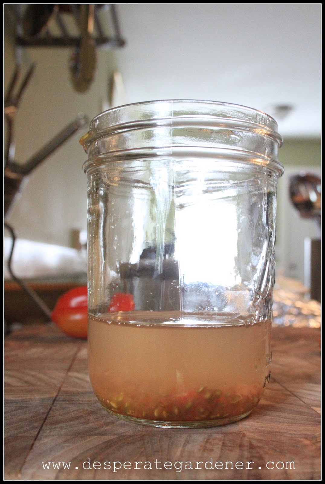 Desperate Gardener Tomato Tuesday Saving Seeds
