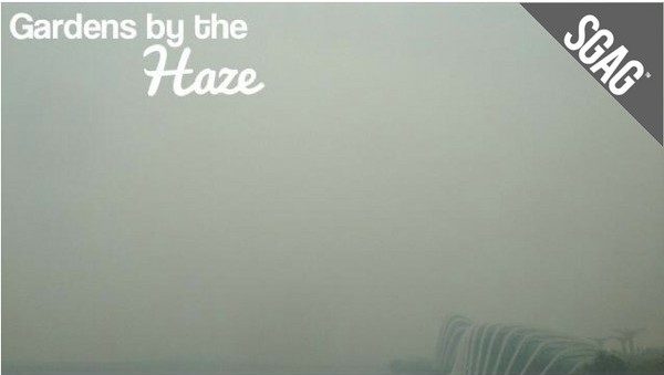 Maybe tourists won't be so upset if Gardens By The Bay was renamed as this.