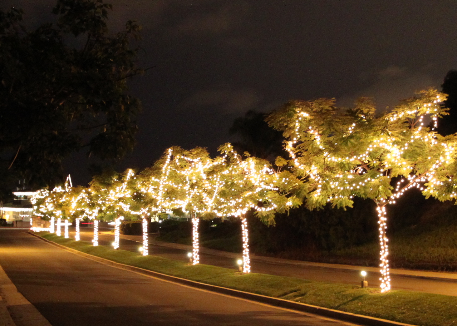 christmas lights midcentury modern style midcentury modern remodel