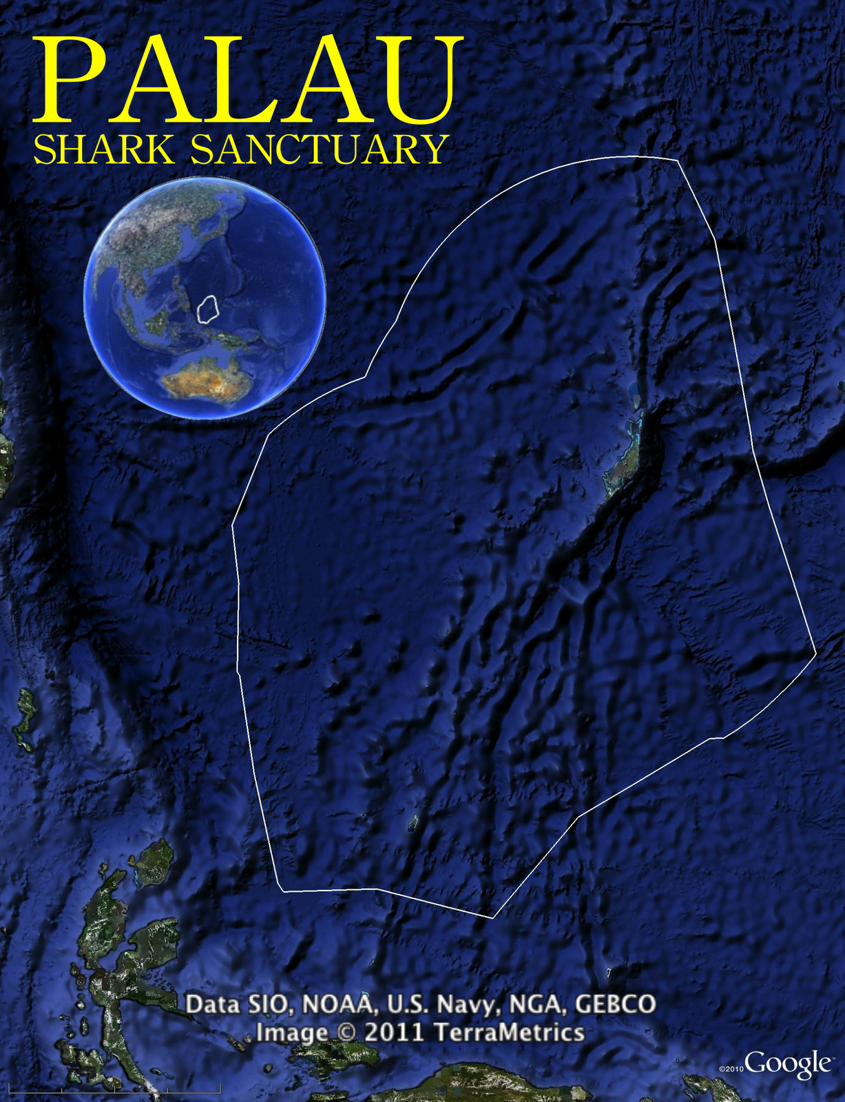 responsible tourism's impacts shown in Palau shark sanctuary