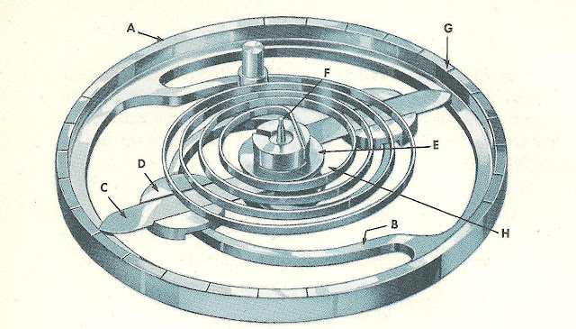 Type de raquette des montres et  incidence sur le réglage. - Page 3 Durablance+Picture