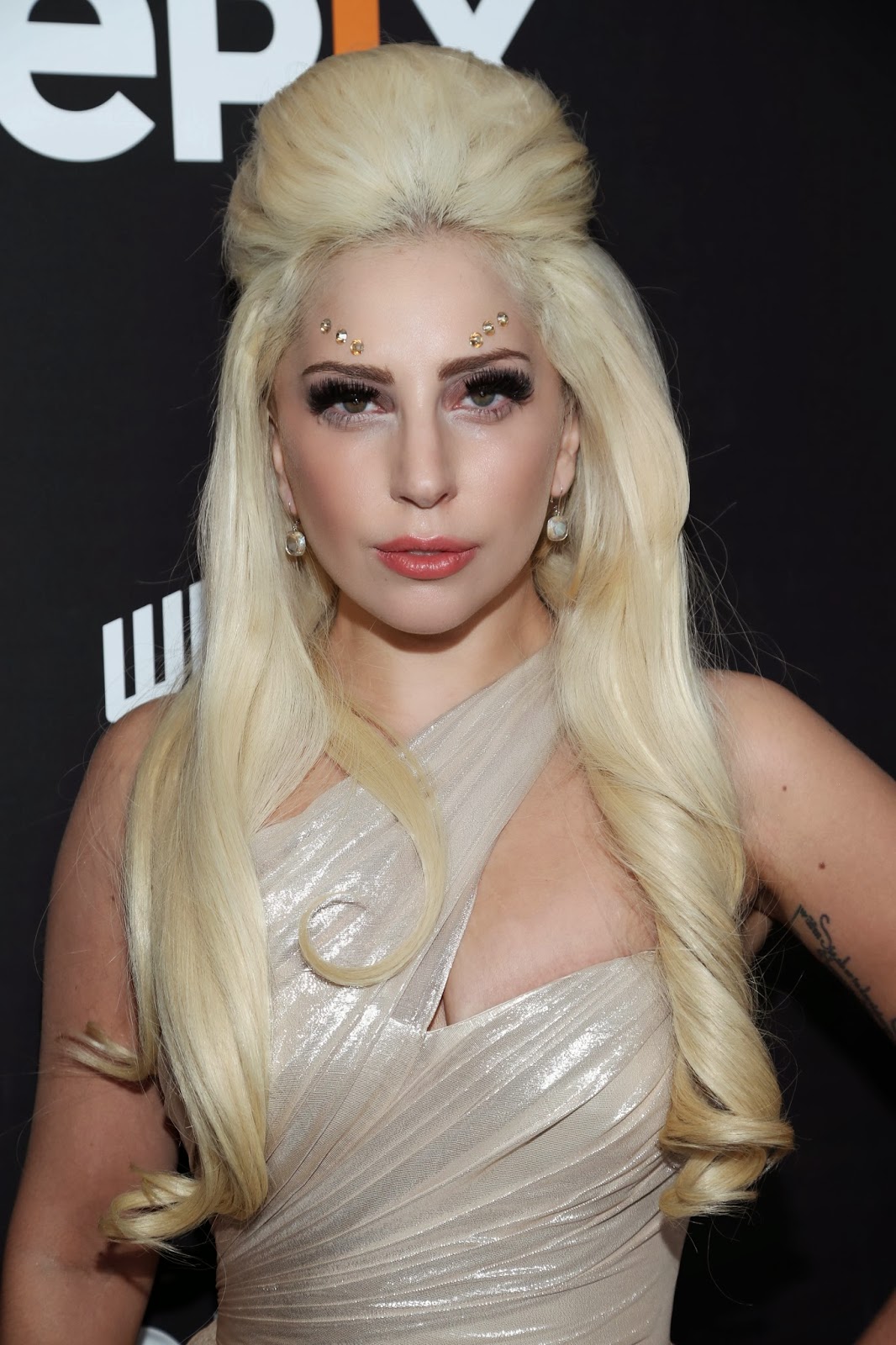 my idol lady gaga essays my idol lady gaga essays