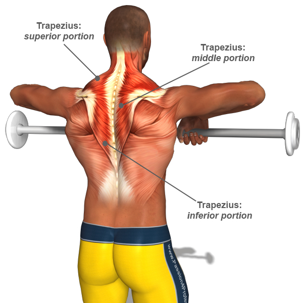 Workout Routines For Men To Lose Belly Fat : Come On, Can Whey Protein Really Aid In Muscle Growth