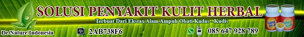 obat kudis herbal