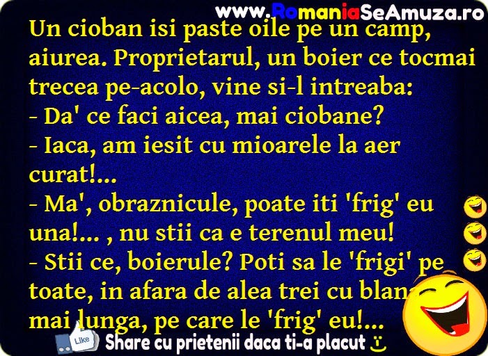 Bancuri bune de tot si deocheate cu ciobani Bancuri haioase