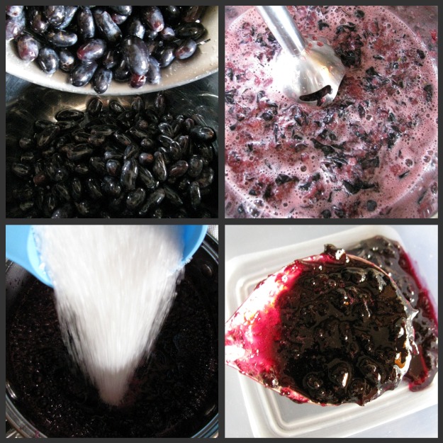 Food Slice Purple Grape Jam with White Bread Loaf