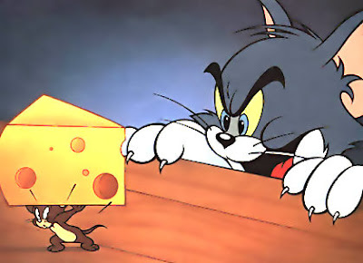 My cat prefers the cheese