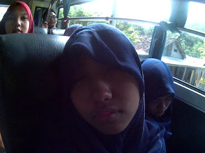 Anis tidur Anis tidur