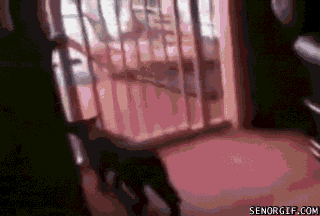 Https Encrypted Tbn0 Gstatic Com Images Q Tbn 3aand9gcsqhgg0smlxrqobdlqkmznc2r14biddd Tuvw Usqp Cau