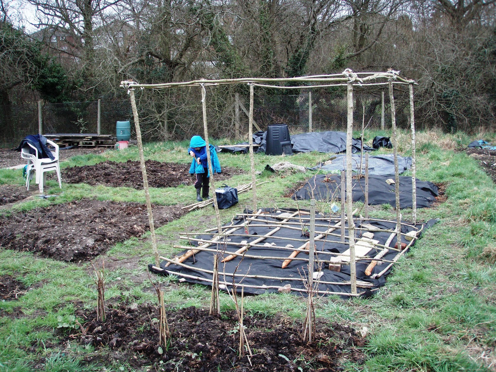 The Urbane Forager Rustic Fruit Cage Contruction