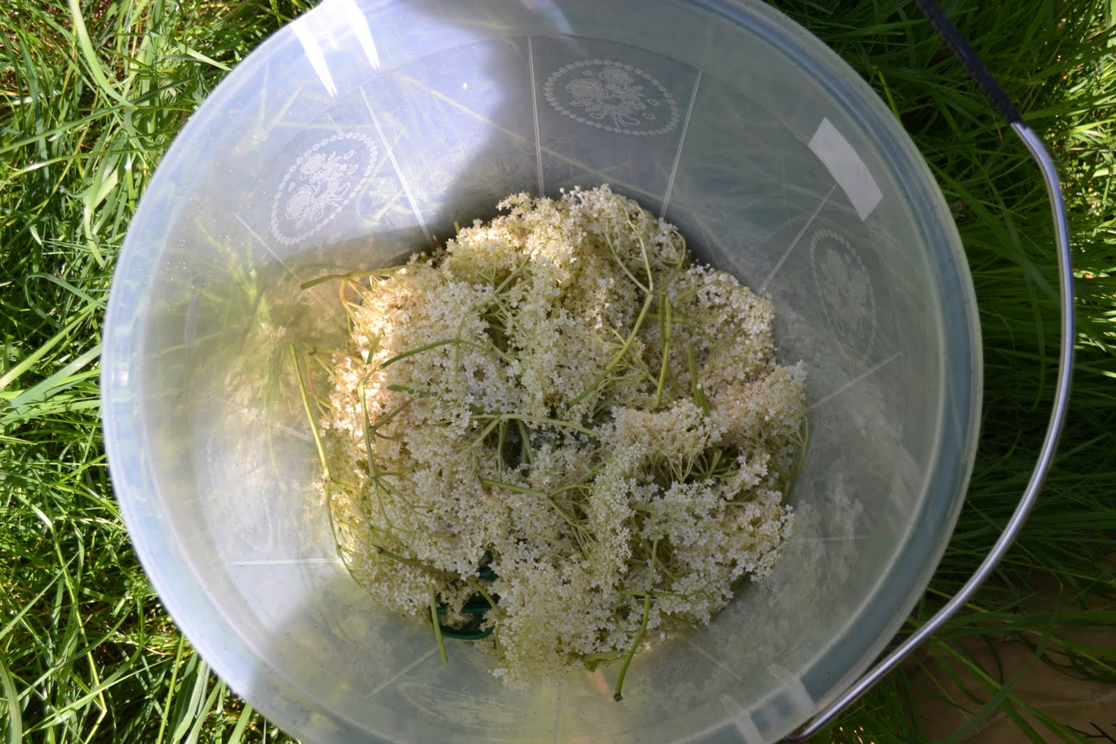 Glittering Shards Make your own champagne in 5 easy steps!