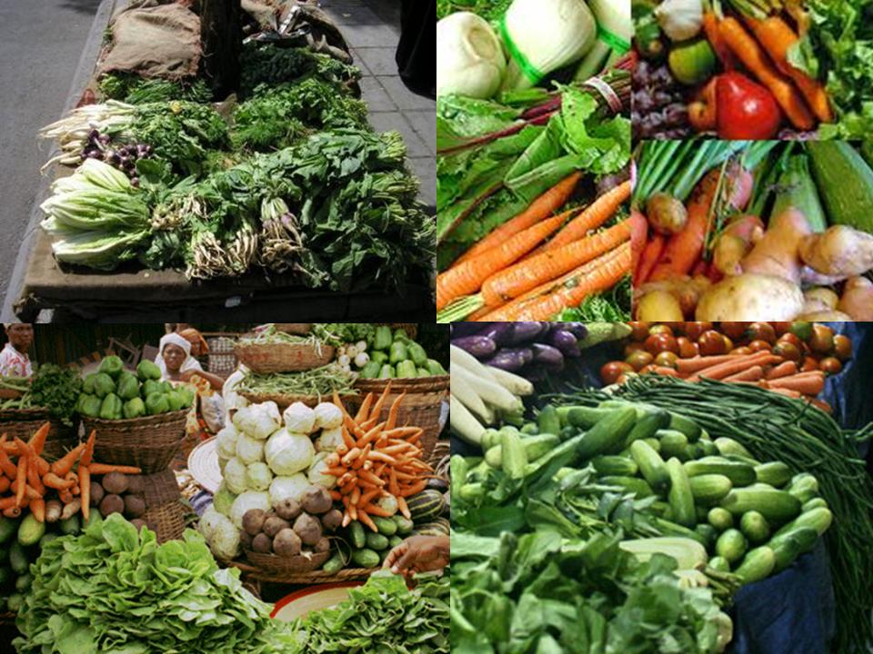 Hasil Pertanian Di Indonesia