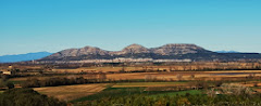 Ja comença a caminar un petit moviment social d’acció revolucionària. OCUPEM L’EMPORDÀ