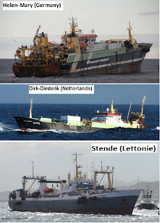 La plus grande pêche en ligne