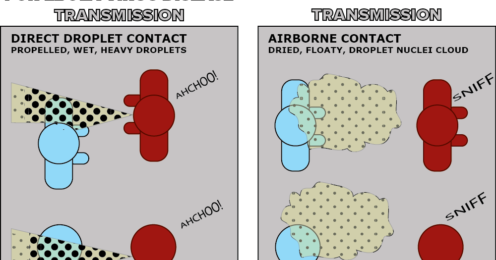 Otters and Science News: EBOLA VIRUS - WHAT DOES AIRBORNE TRANSMISSION