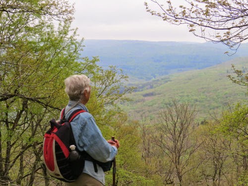 Catskill vista