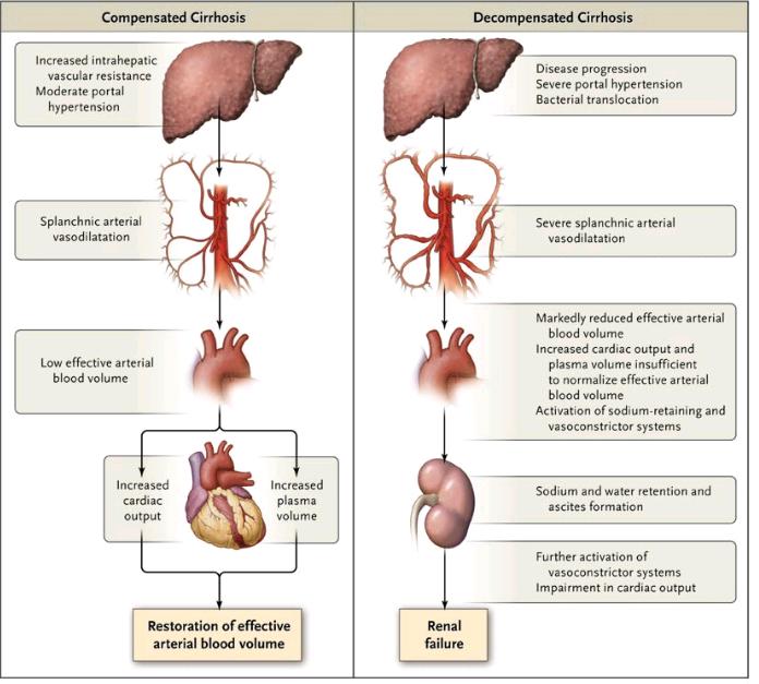 proverbe sur les rencontres amicales