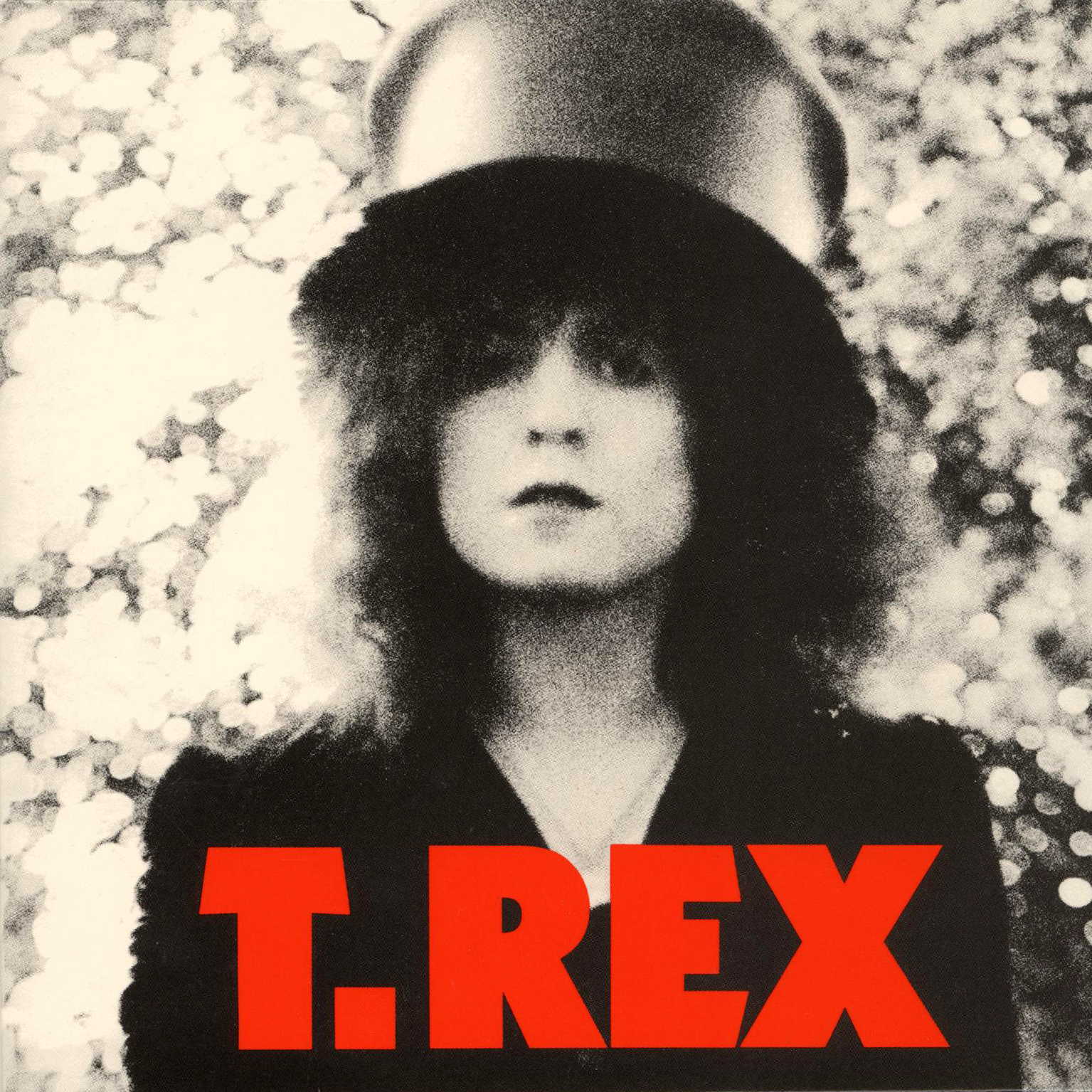 T.Rex The Slider (Classic Album UK 1972)