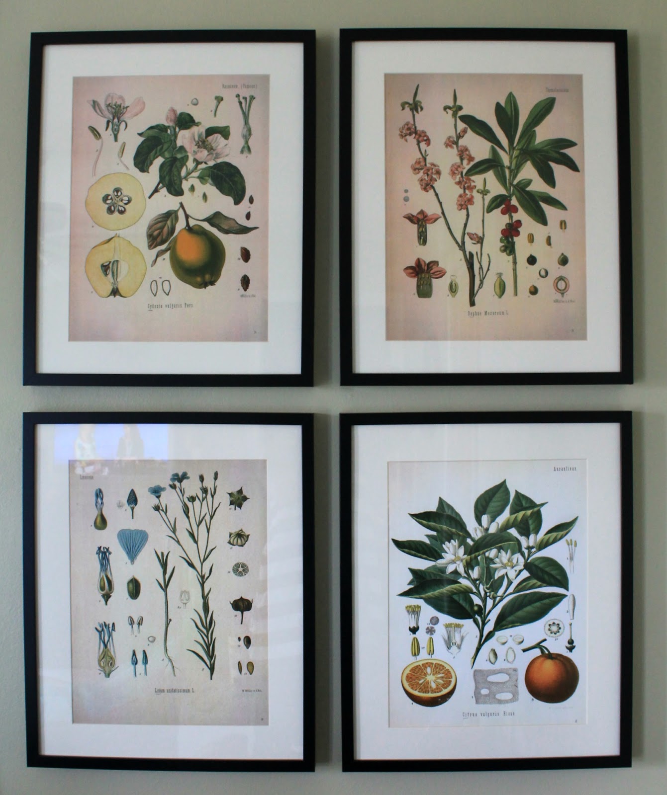 How To Hang Multiple Pictures On Wall chippasunshine: gallery wall {living room} How To Hang Multiple Pictures On Wall chippasunshine: gallery wall {living room}