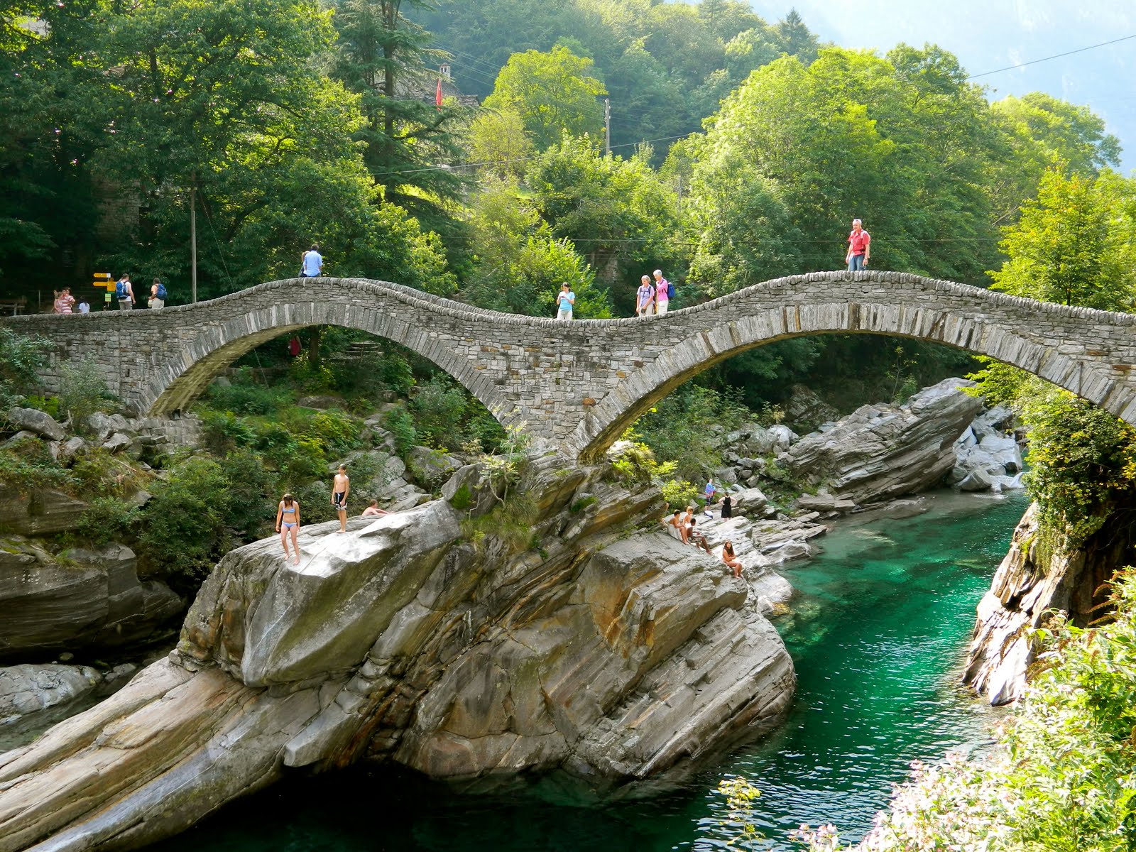 [Image: DSCN0083.JPG]