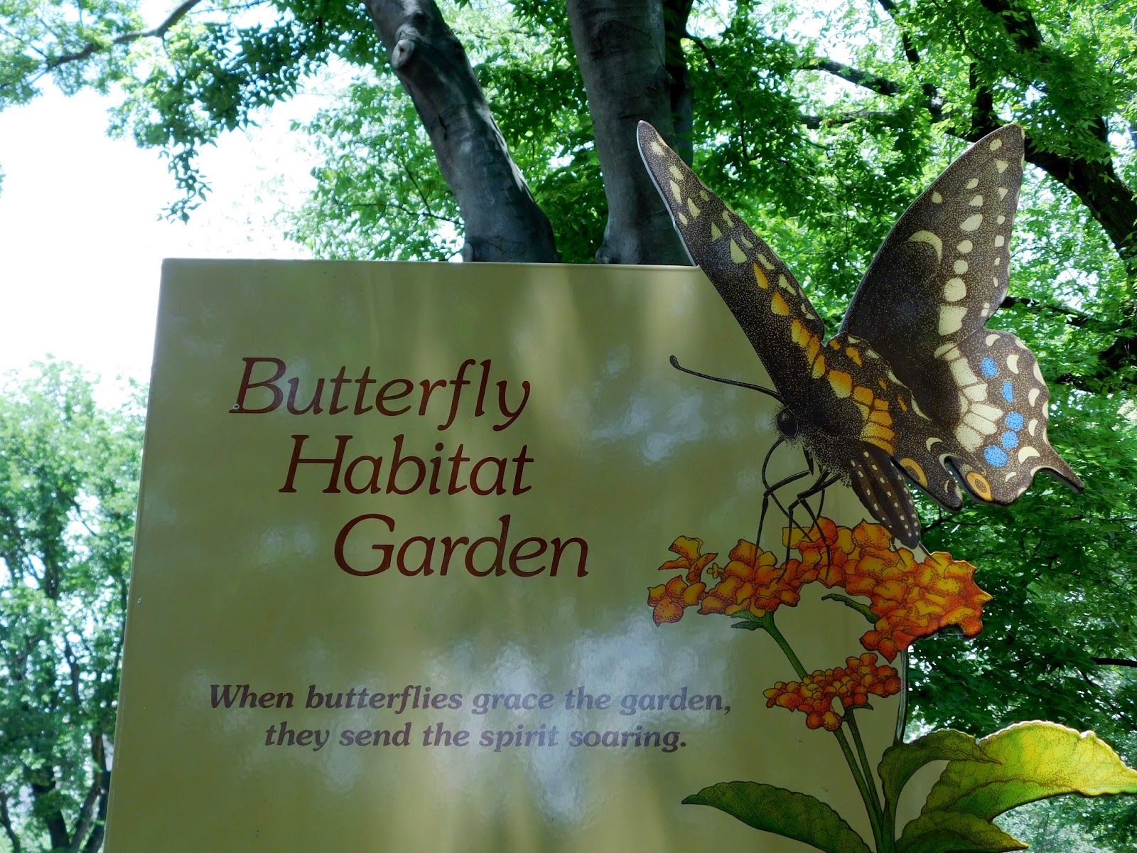 Teatime Journeys Tea in a butterfly garden