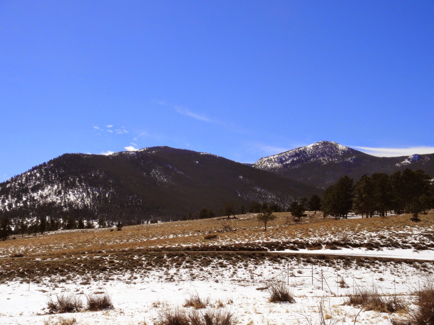 Hiking Rocky Mountain National Park Beaver Mountain via Beaver Meadows TH.