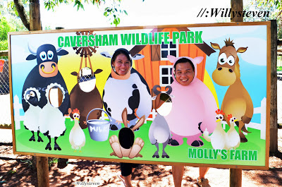 Molly's Farm, Caversham Wildlife Park
