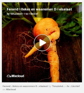 https://www.mixcloud.com/straatsalaat/farandllekes-en-waaremen-delsalaat/