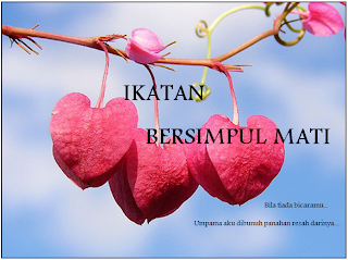 HANYA KERANA HIKAYAT PENGLIPUR LARA AULIA IMAN: IKATAN BERSIMPUL MATI